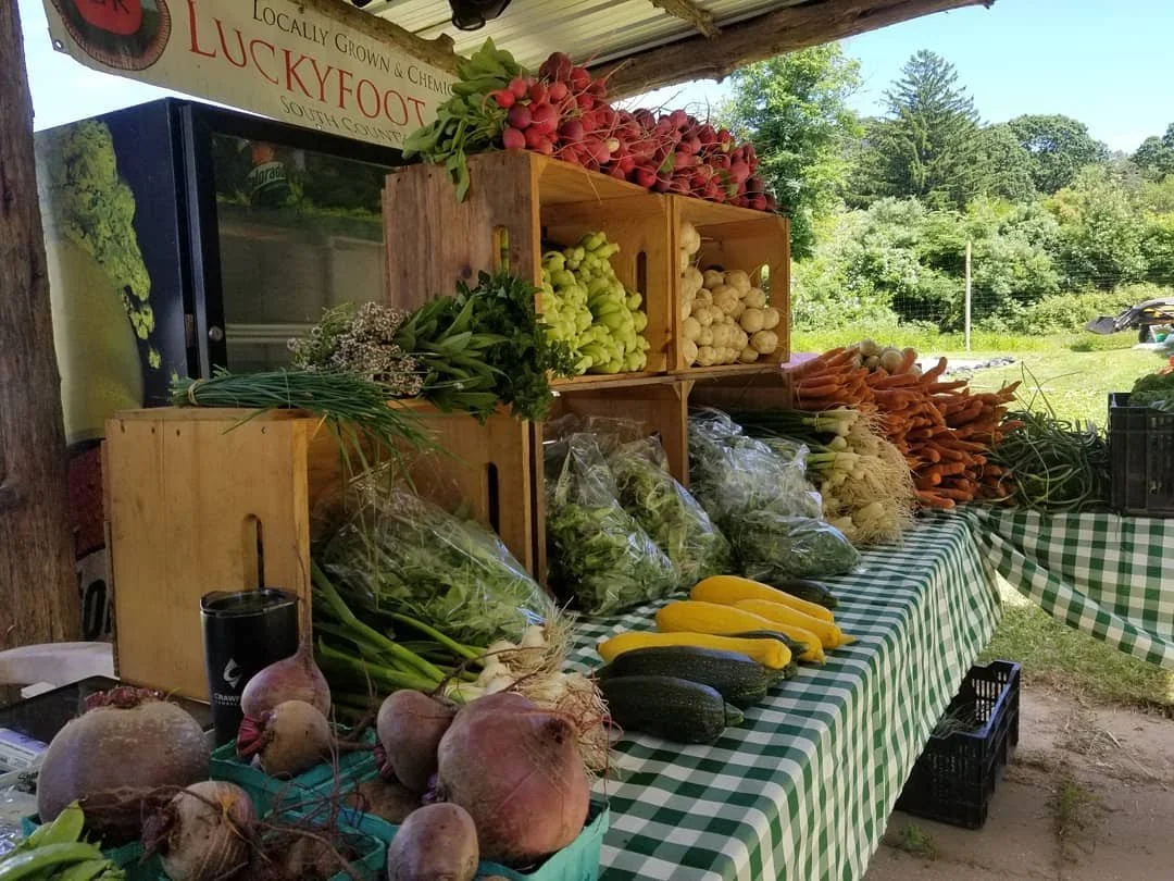 On-Farm Workshop at Lucky Foot