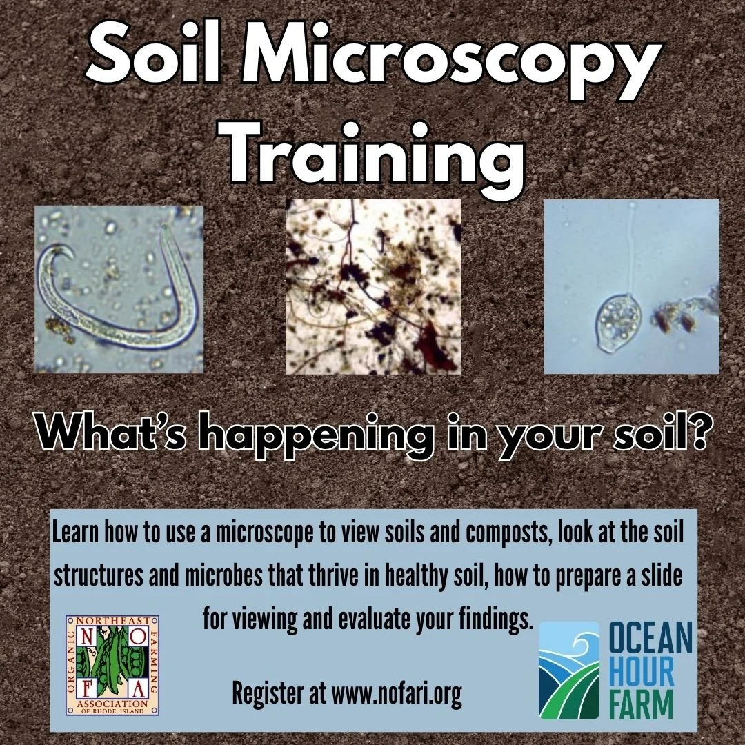 Soil Microscopy Course