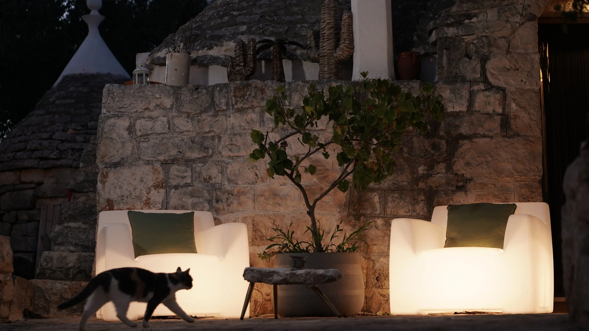 Zona relax con due poltrone illuminate, una pianta in vaso al centro e un gatto che cammina davanti, sullo sfondo una parete di pietra e decorazioni.