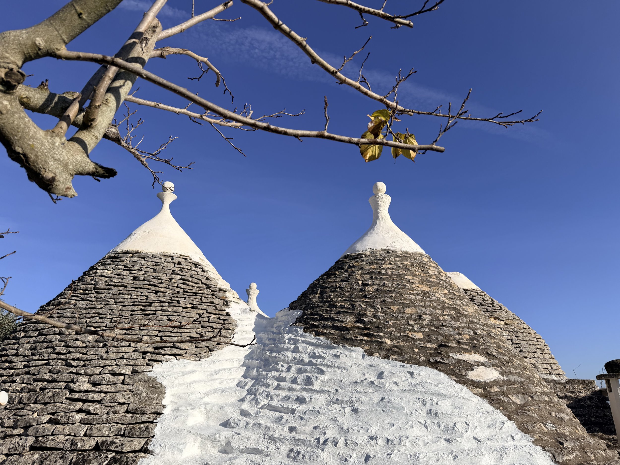 Due coni di pietra con punta bianca e base di pietre, tipici trulli, visti da sotto, con un ramo di albero in primo piano e un cielo azzurro sullo sfondo.