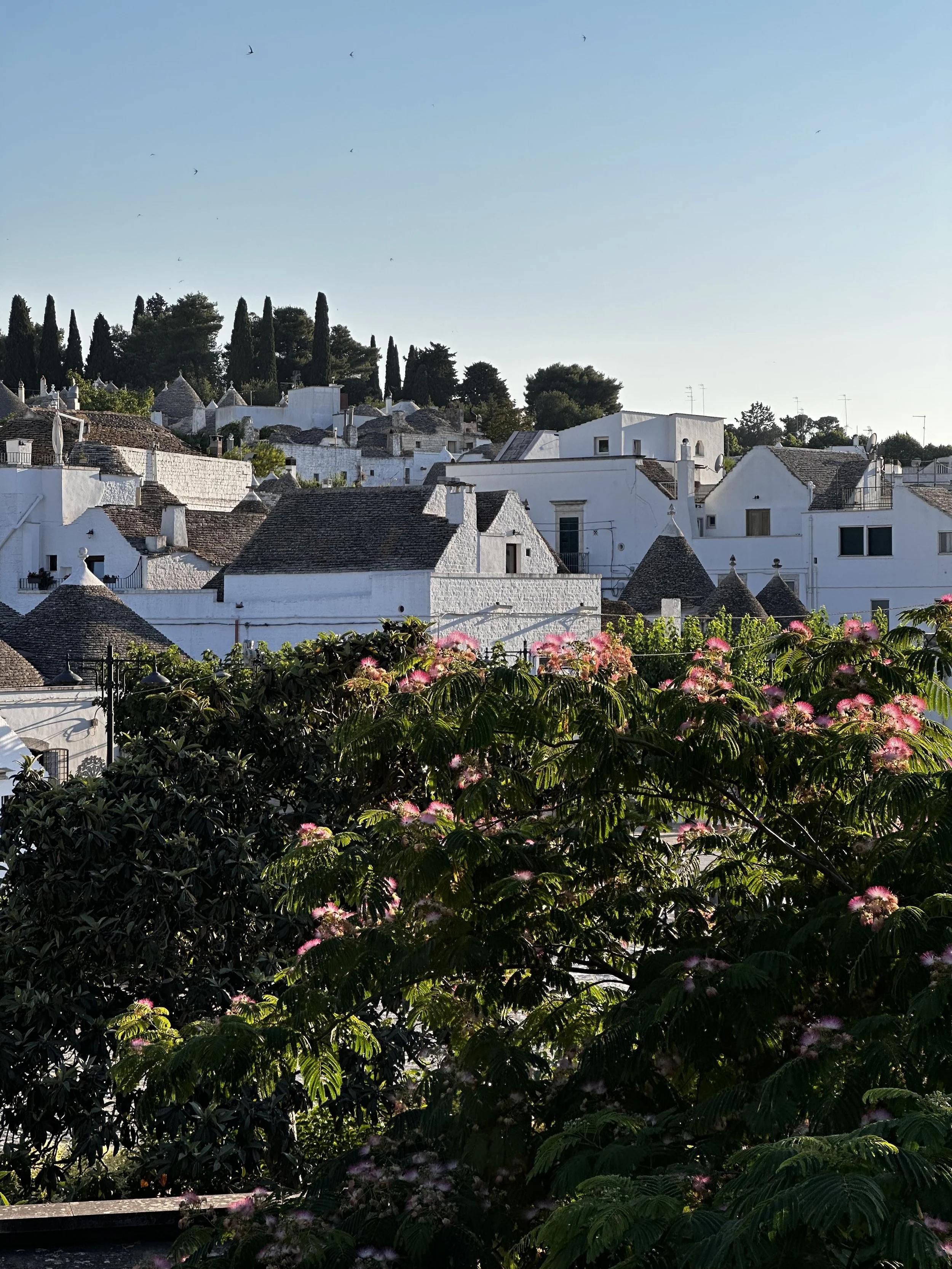 Veduta di case bianche con tetti in pietra, alberi e un cielo azzurro con alcune nuvole sottili.
