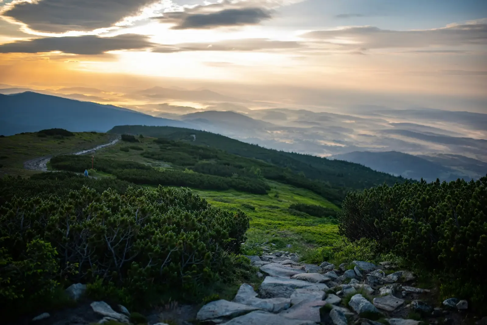 Calm natural scene reflecting grounded mental health and anxiety therapy