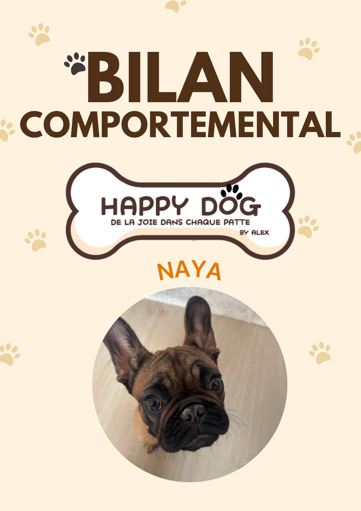 Bilan Comportemental