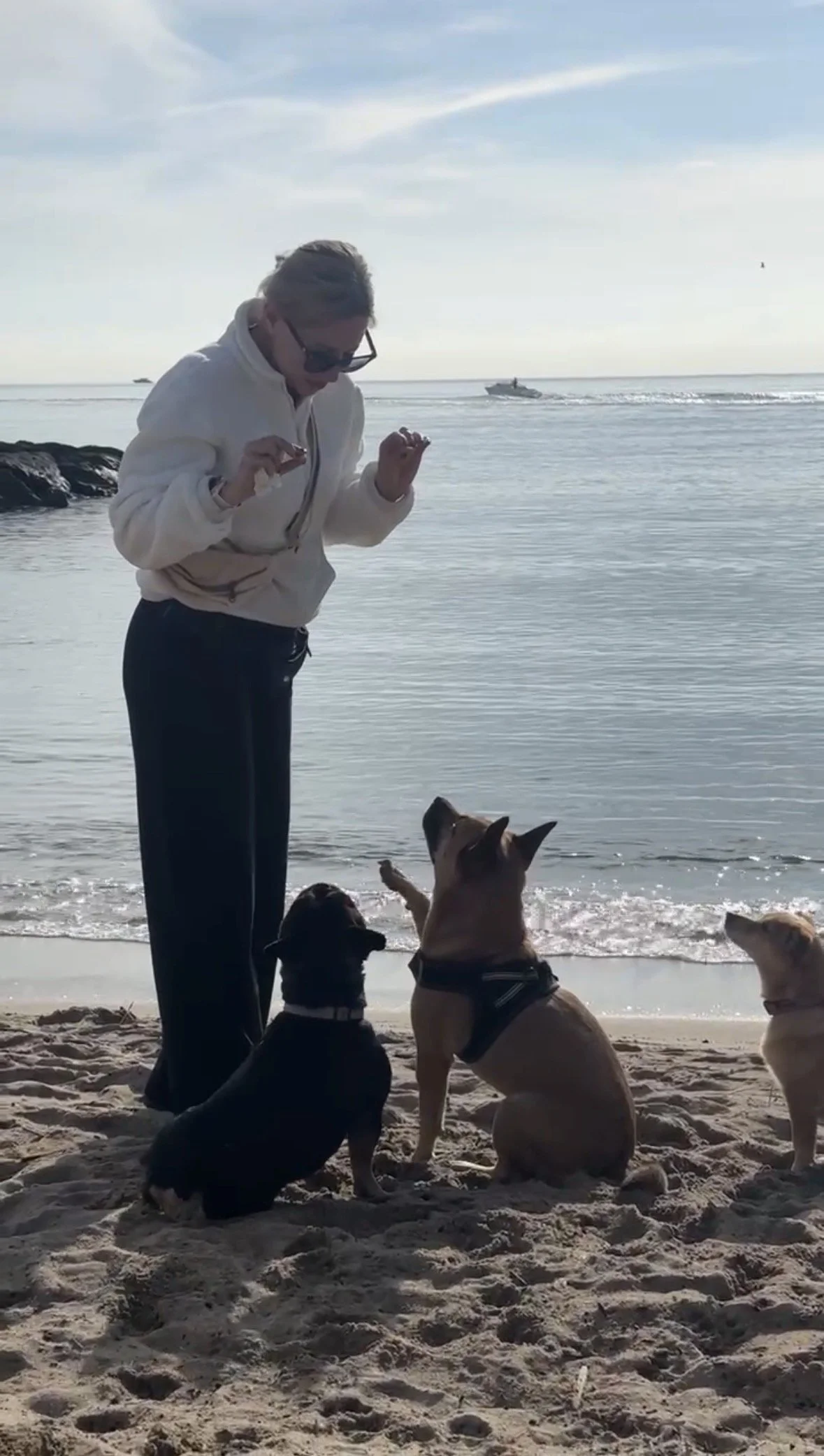 Une femme avec des chiens sur une plage, tenant un bâton, avec la mer en arrière-plan.