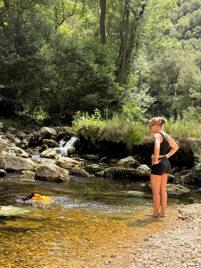 Balade éducative canine dans les Alpes maritimes