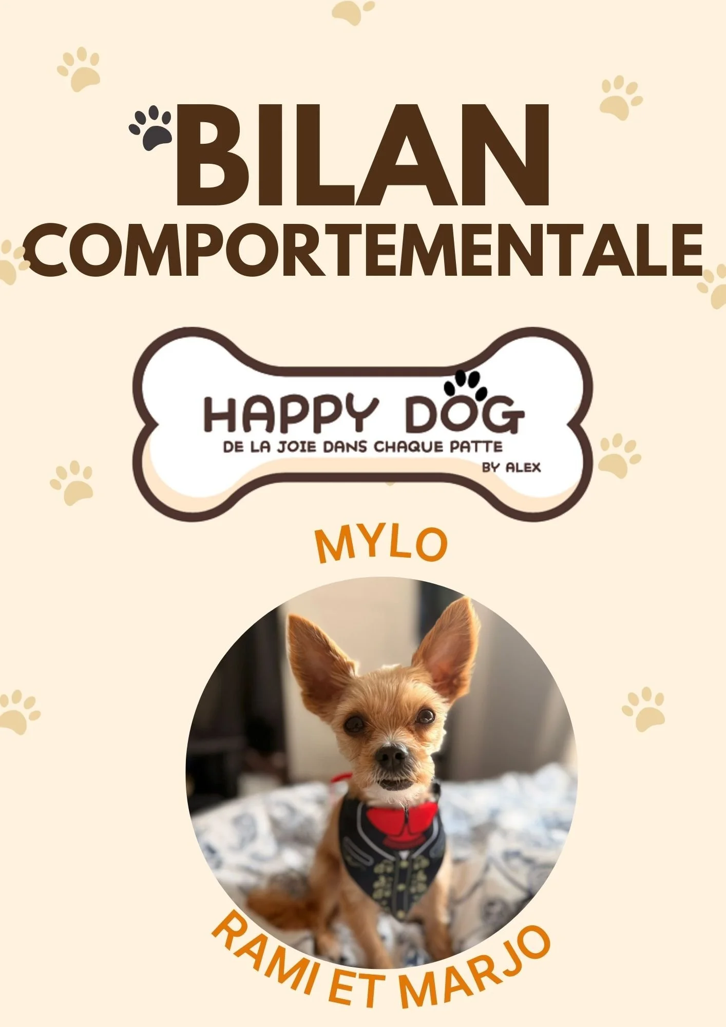 Bilan Comportemental