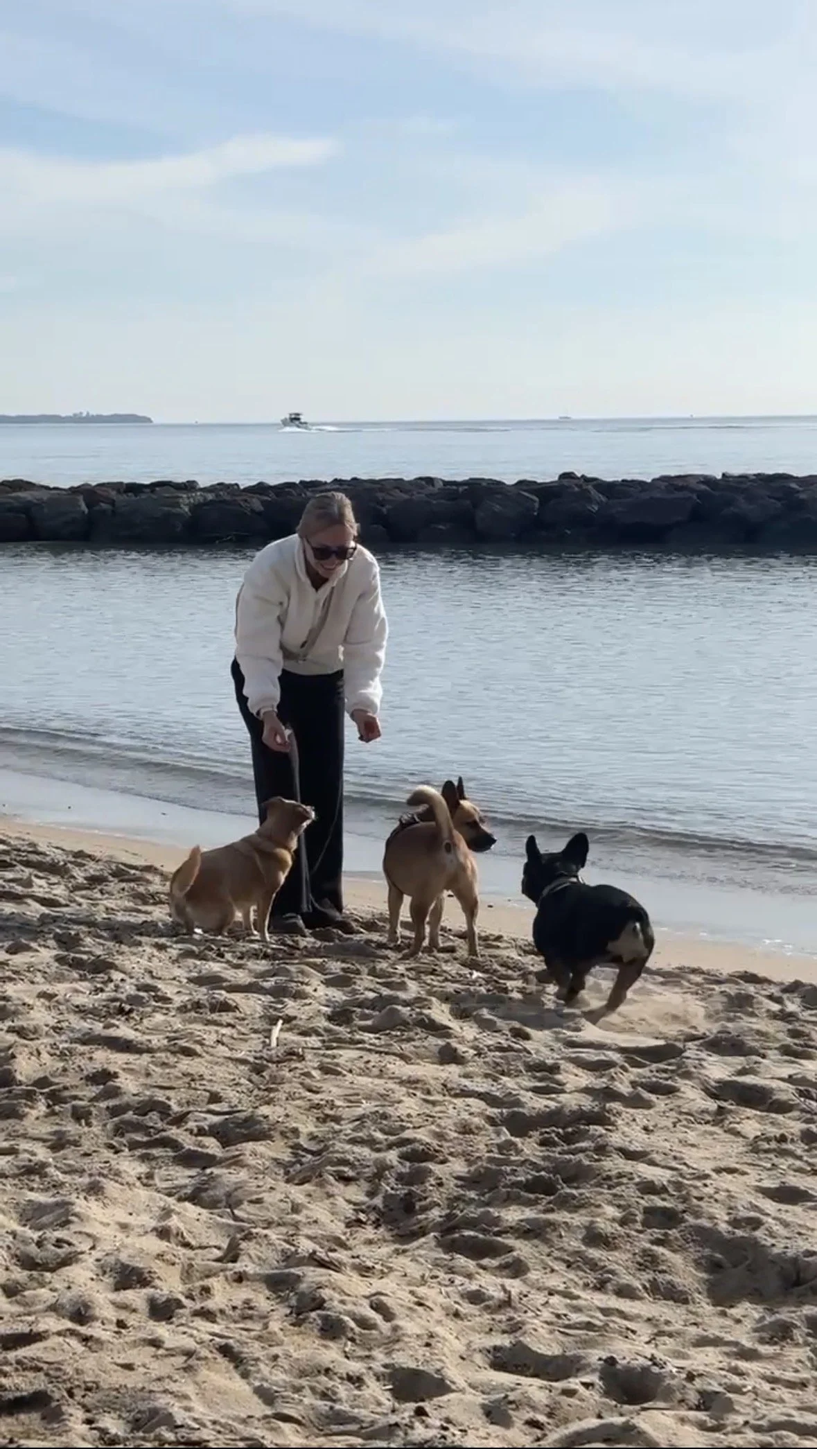 Une femme en vêtements blancs joue avec trois chiens sur une plage au bord de l'eau. Un bateau navigue au loin dans la mer.
