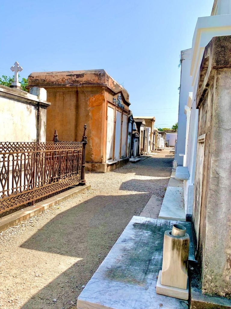NOLA-Cemetery-2.1-768x1024.jpeg