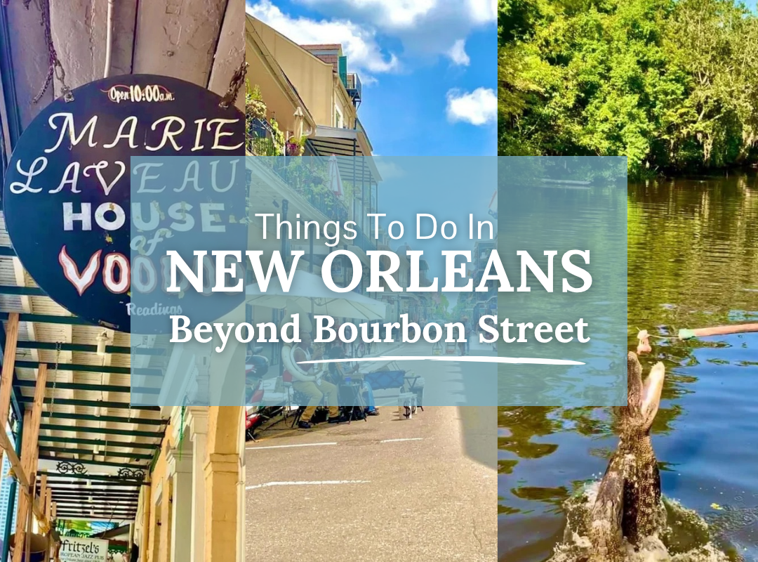 Things to Do in New Orleans Beyond Bourbon Street