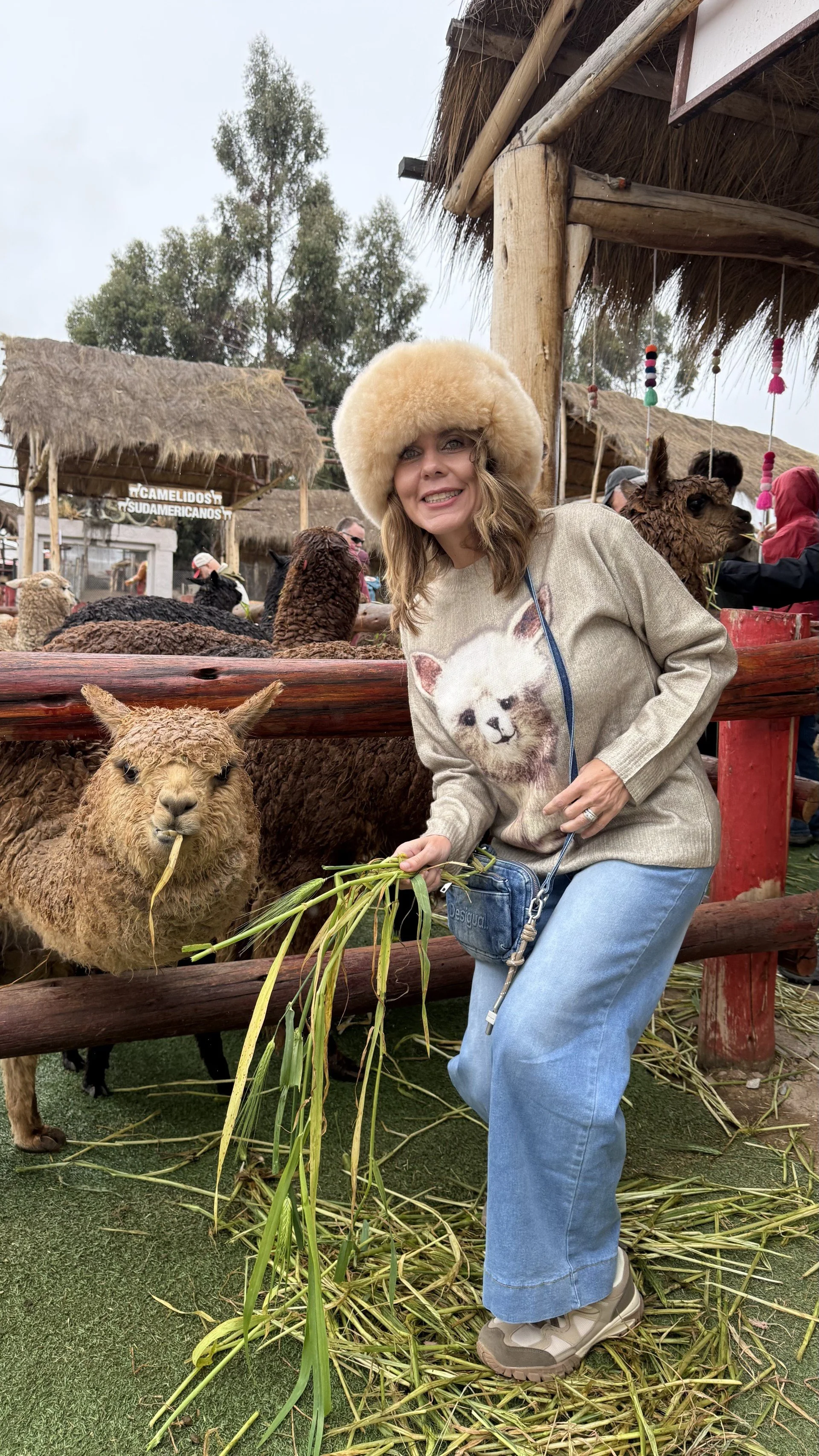 Land Tours with Karen at Wanderlust Travel Jetsetter in New Braunfels Texas
