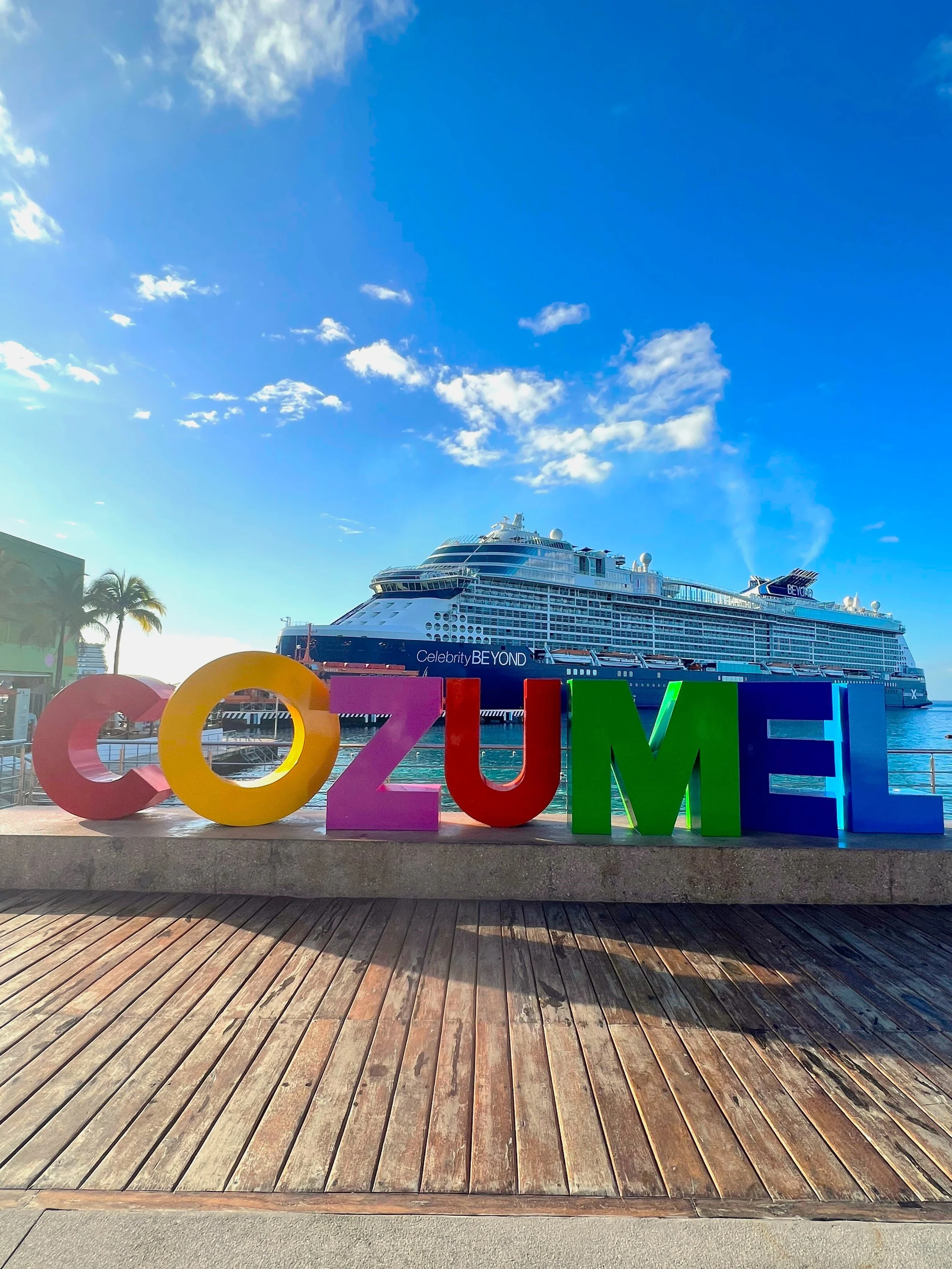 Celebrity Beyond 3.jpg