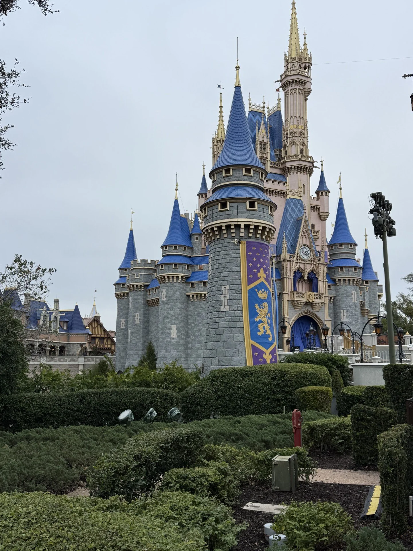 Disney Picture 7.jpg