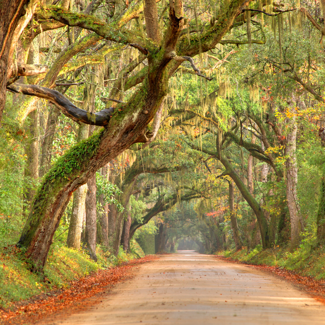 Charleston, South Carolina vacation planning with Wanderlust Travel Jetsetter in New Braunfels Texas