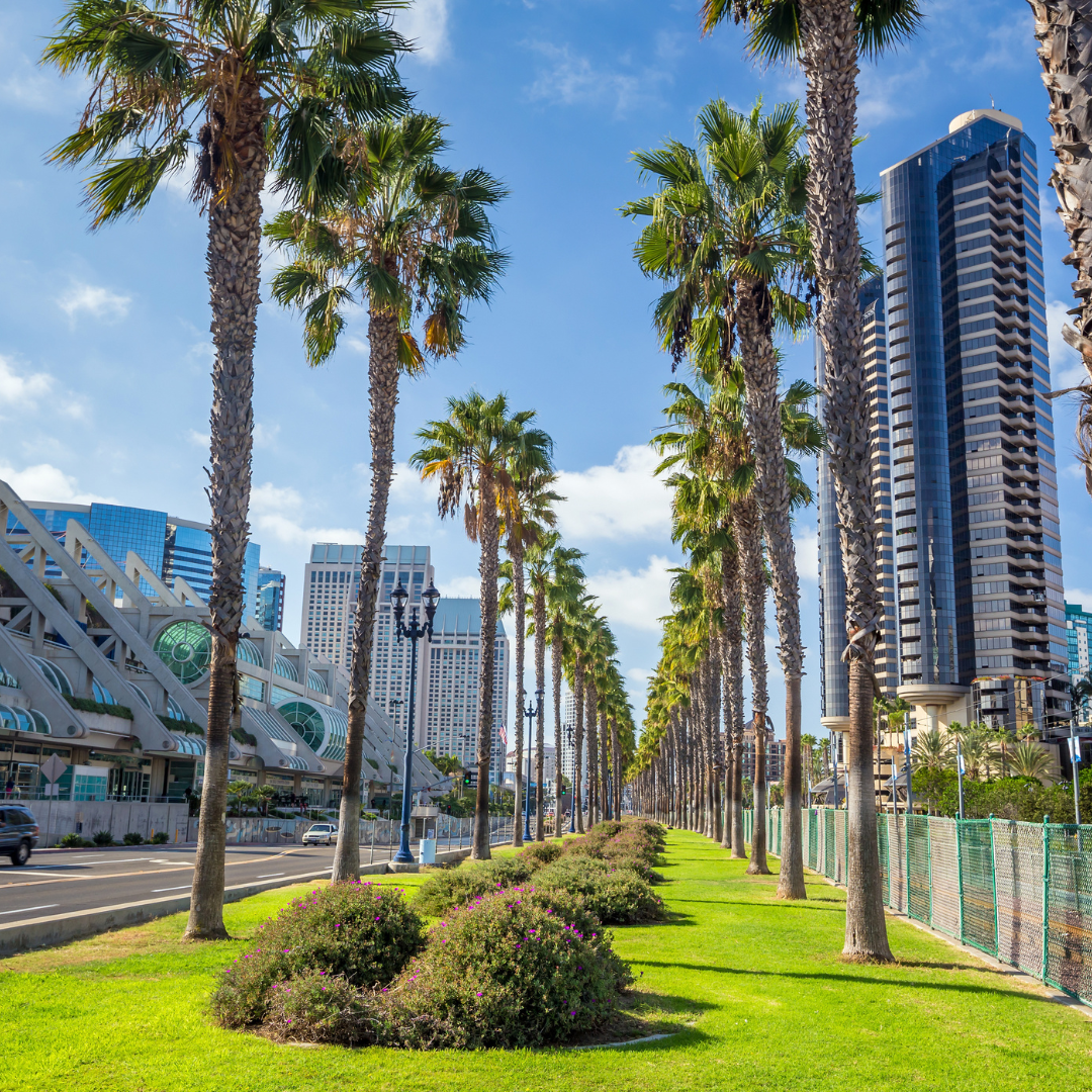 Award winning travel agency helping with San Diego California vacations by Wanderlust Travel Jetsetter in New Braunfels, Texas