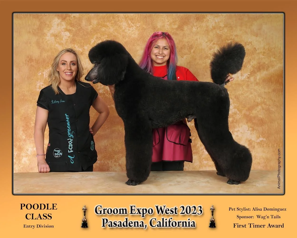 Two women posing with a large black poodle at the Groom Expo West 2023 in Pasadena, California. The dog is standing on a grooming table, and one woman is dressed in a black grooming uniform while the other has colorful hair and is holding the dog. The background is a textured beige color, and there is informational text about the event and awards below the image.