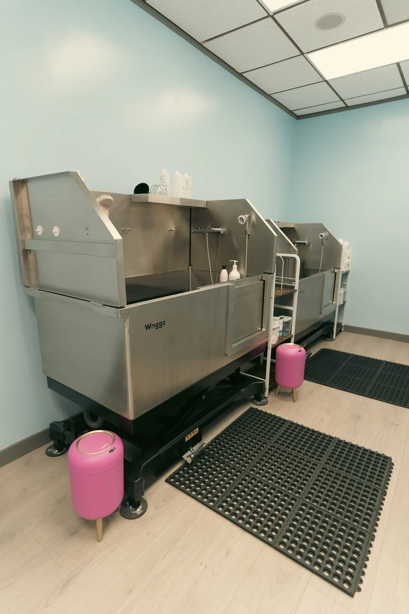 A Pet grooming station with stainless steel tubs, pink footstools, and black rubber mats on light wood flooring, with light blue walls and a drop ceiling at Topknot Pet Salon & Spa in Los Angeles, California