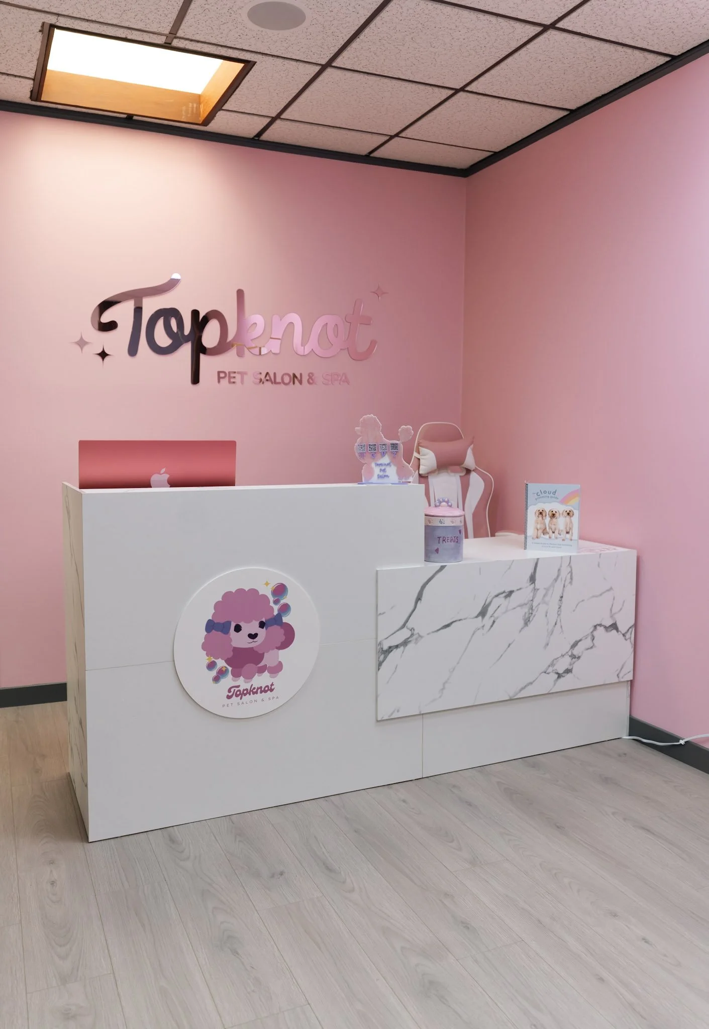 Interior of Topknot Pet Salon & Spa in Los Angeles, California, with pink walls, a reception desk with a white marble pattern, a pink sign that reads "Topknots Pet Salon & Spa," a small table with dog-related items, and a chair