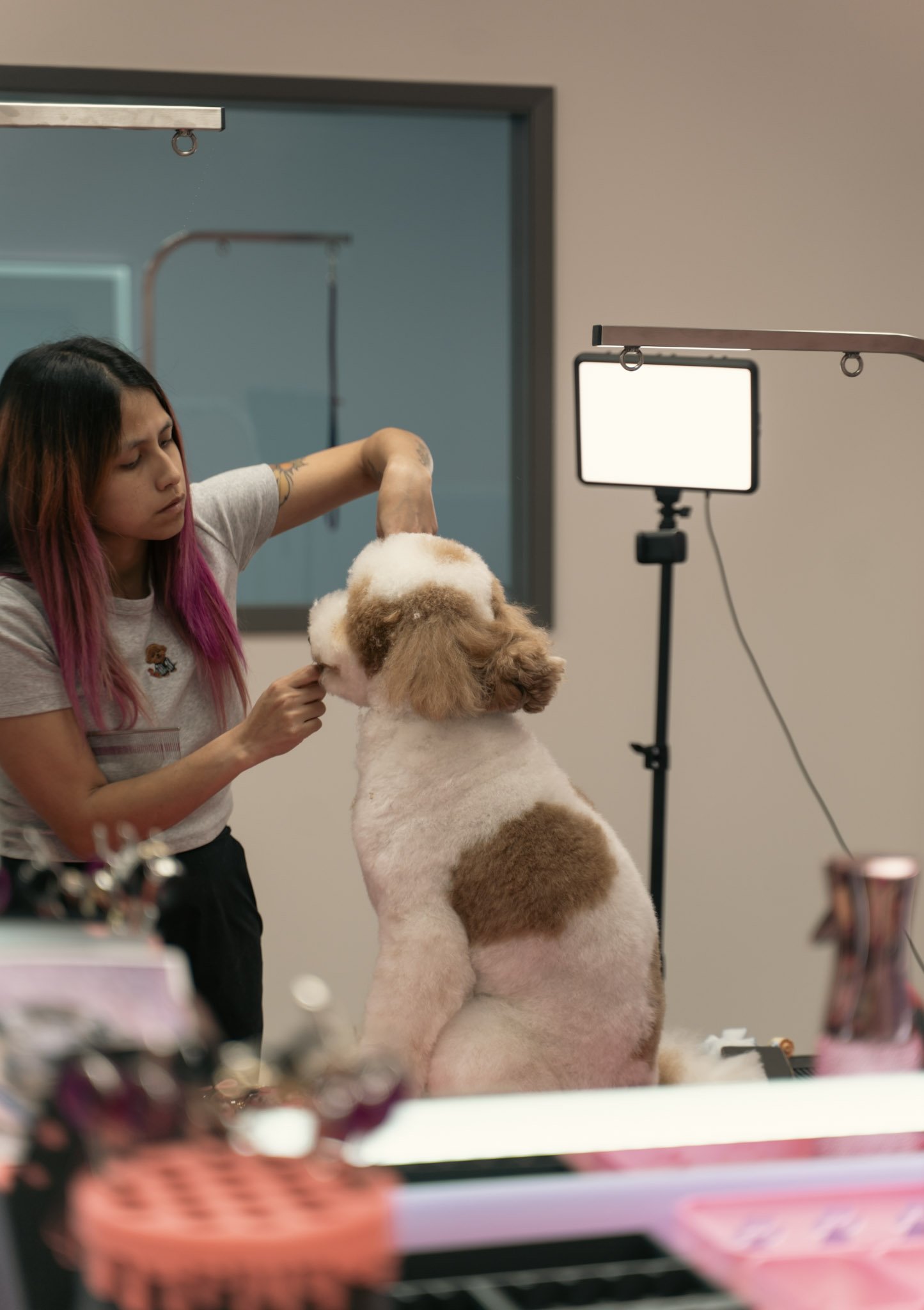Alisa who has with pink and black hair is grooming a large dog, possibly at a pet grooming station at Topknot Pet Salon & Spa in Los Angeles, California