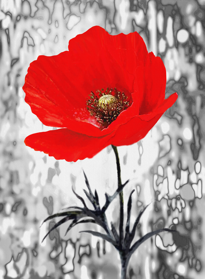 Capture d'écran 2026-02-05 184316.png