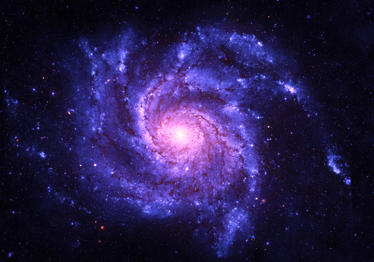 Capture d'écran 2026-02-11 180840.png