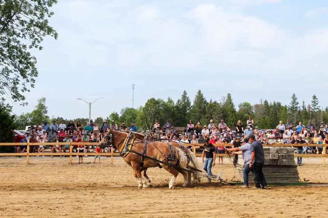 Providence Bay Agricultural Fair
