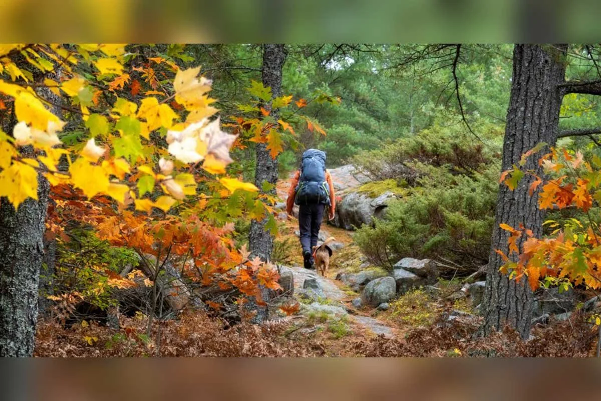 POINT GRONDINE PARK | Highway 637, near Killarney | Half–Full Day
A First Nation–owned park spanning over 7,000 hectares of wilderness, old-growth pine forest, rivers and interior lakes. The trailhead sits at the northern terminus of the Georgian Bay