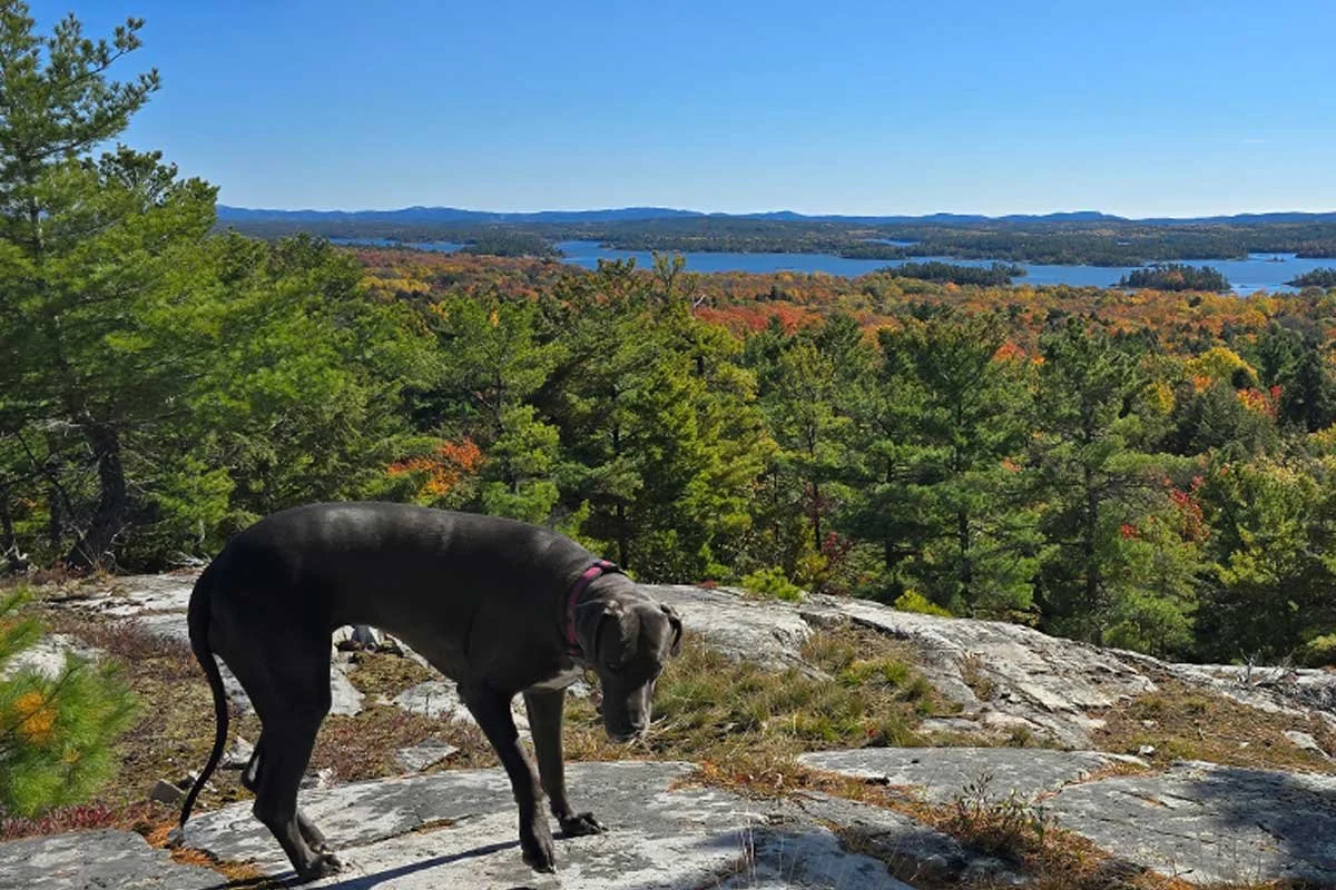 HEAVEN'S GATE TRAIL | Hwy 6 (Willisville-Sagamok First Nation) | Multi-day | A rugged 50 km backcountry trail through the La Cloche Mountains, offering expansive views of the North Channel and surrounding lakes. This trail is not well marked or maint