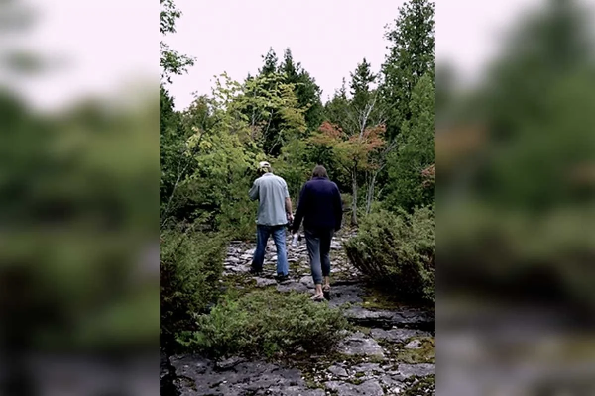 MANITOULIN ECO PARK TRAILS | Highway 6,north of Hwy 542, Tehkummah | 1–3 hrs 
This private park offers three complimentary interpretive trails passing through five distinct ecosystems, including wetlands, forest, meadow, pond and escarpment. The Inte