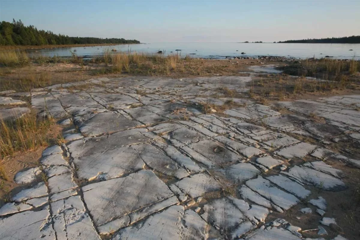 MISERY BAY PROVINCIAL PARK NATURE RESERVE | South shore, west of Evansville | 1–3 hrs
This 860-hectare provincial park protects rare alvar ecosystems and features a network of eight trails totaling approximately 16 km. An easy 4.1 km loop from the vi