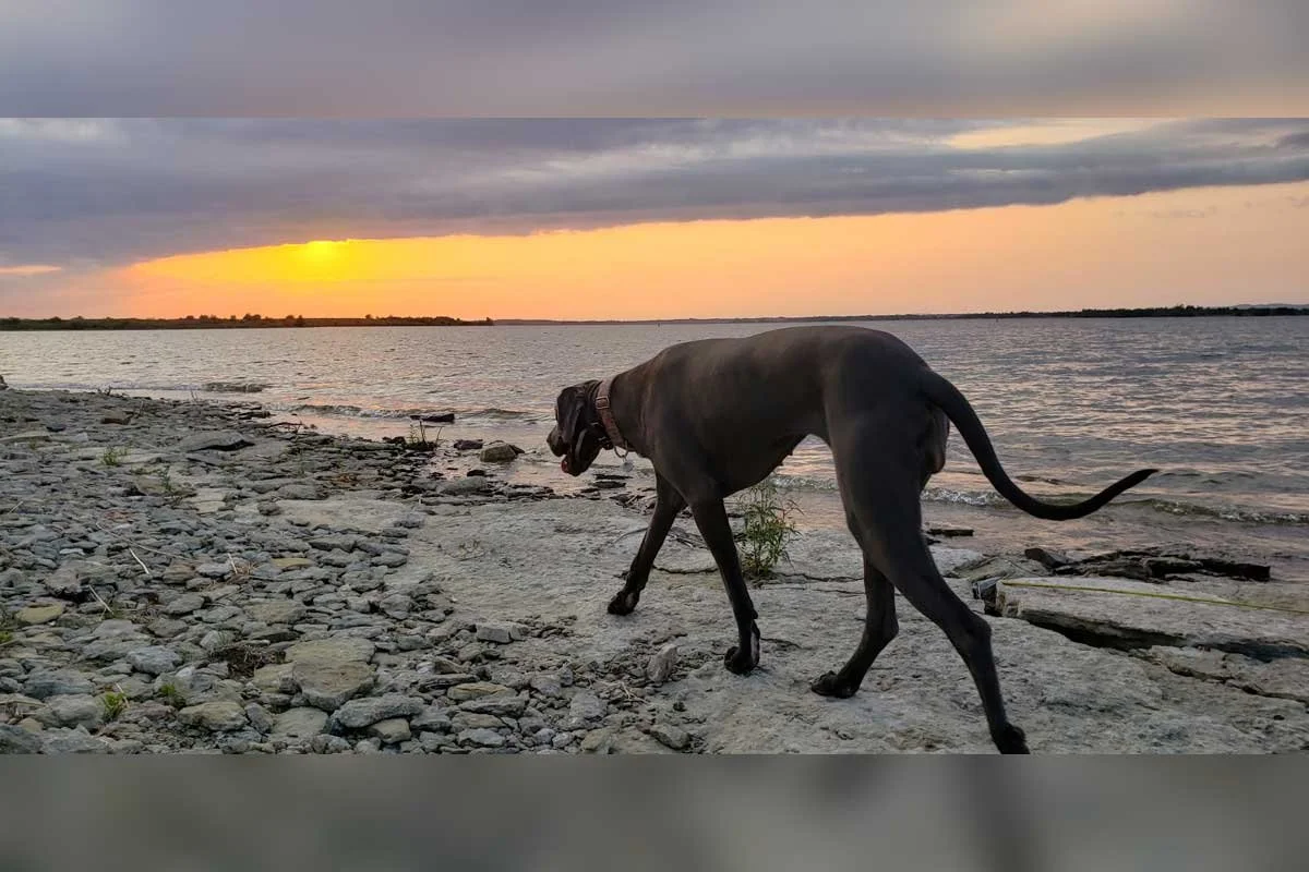 LITTLE CURRENT RECREATIONAL WALKING TRAIL | Little Current | 2–4 hrs
A 12 km loop around the town of Little Current with minimal elevation change. The trail features benches, lighting, interpretive plaques and a scenic waterfront section along the No