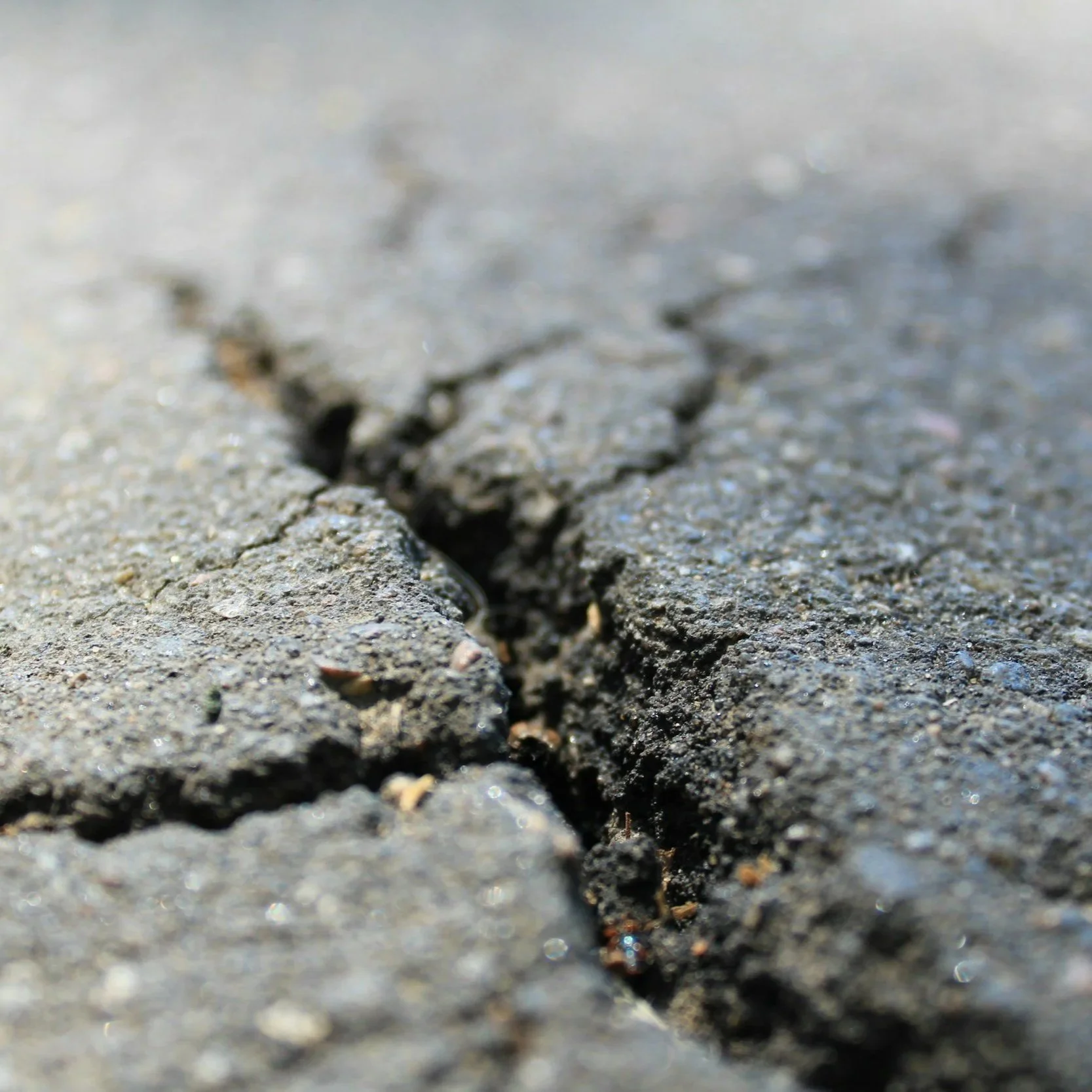 Discussion: How Leaders Can Move Forward Amid Market Volatility