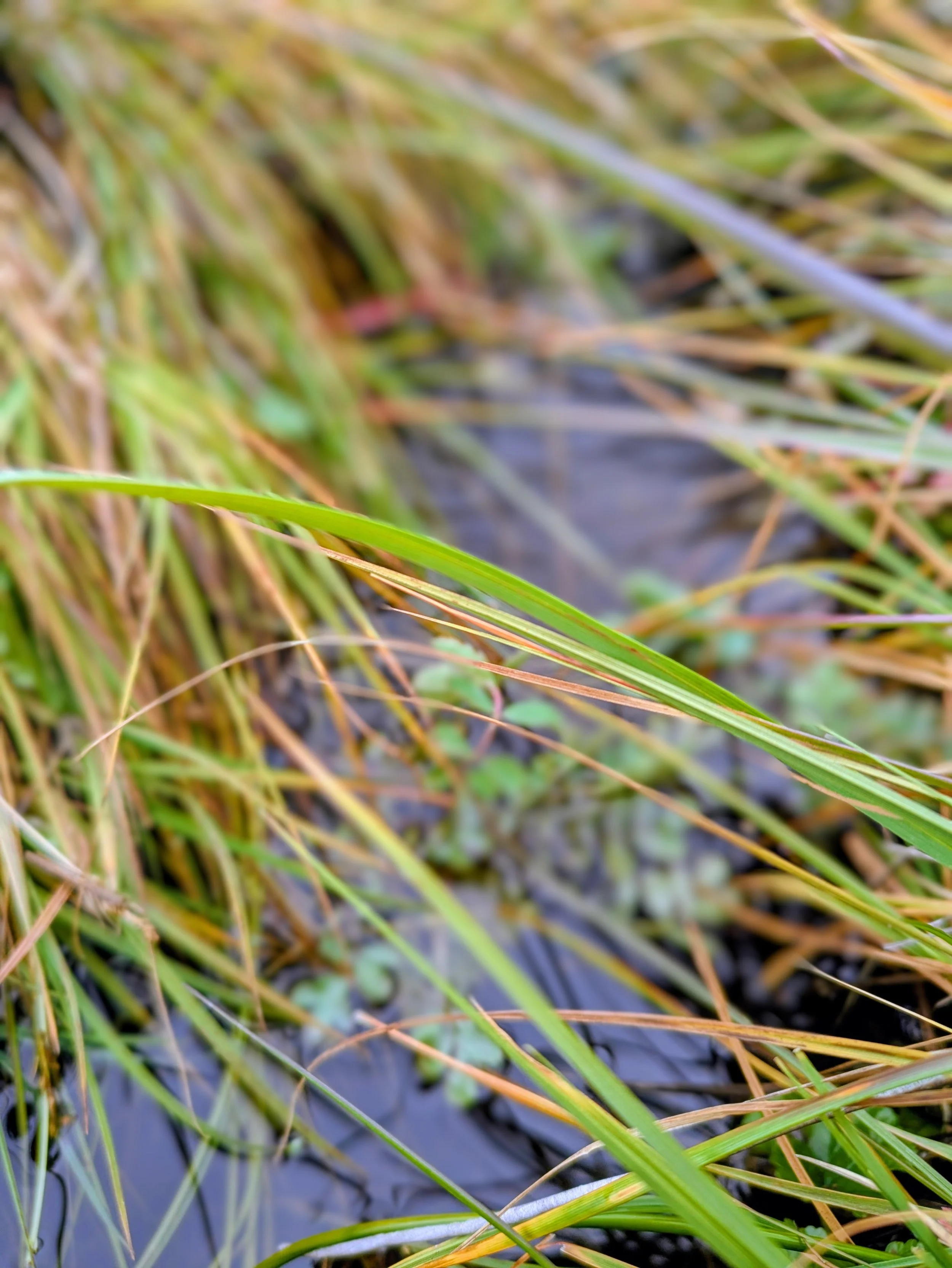 Sustainable Improvements in Effectiveness, Efficiency, and Culture