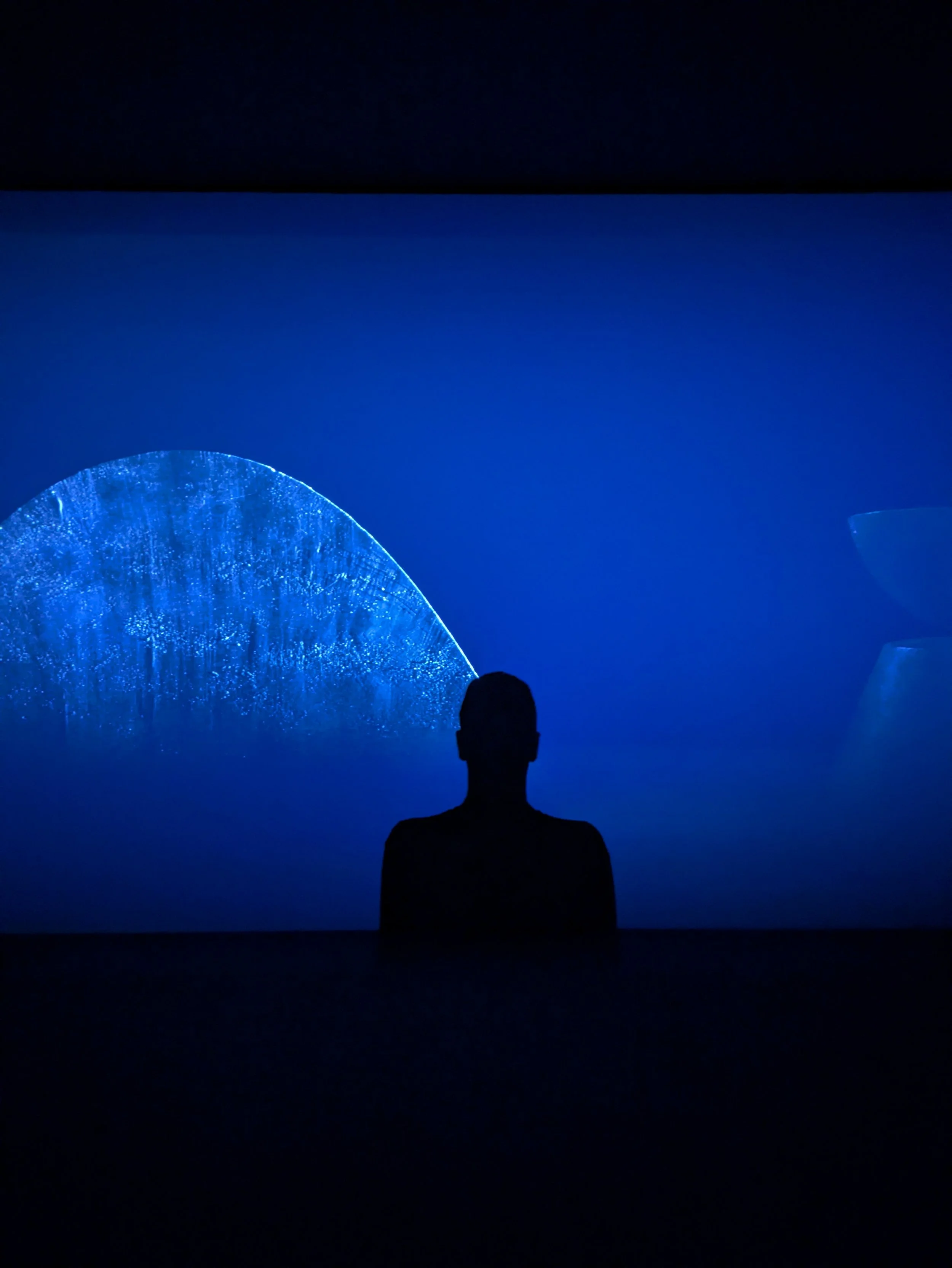 A New Mobile Service in a Crowded Marketplace