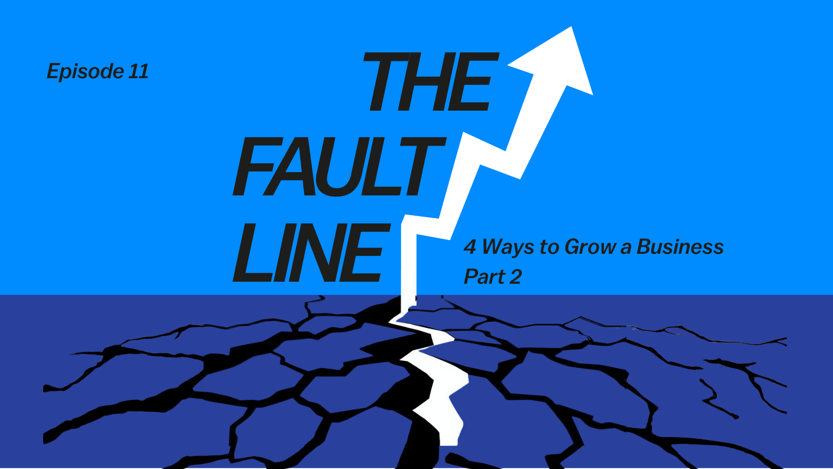 The Fault Line: Episode 11 - 4 Ways to Grow a Business (Part 2)