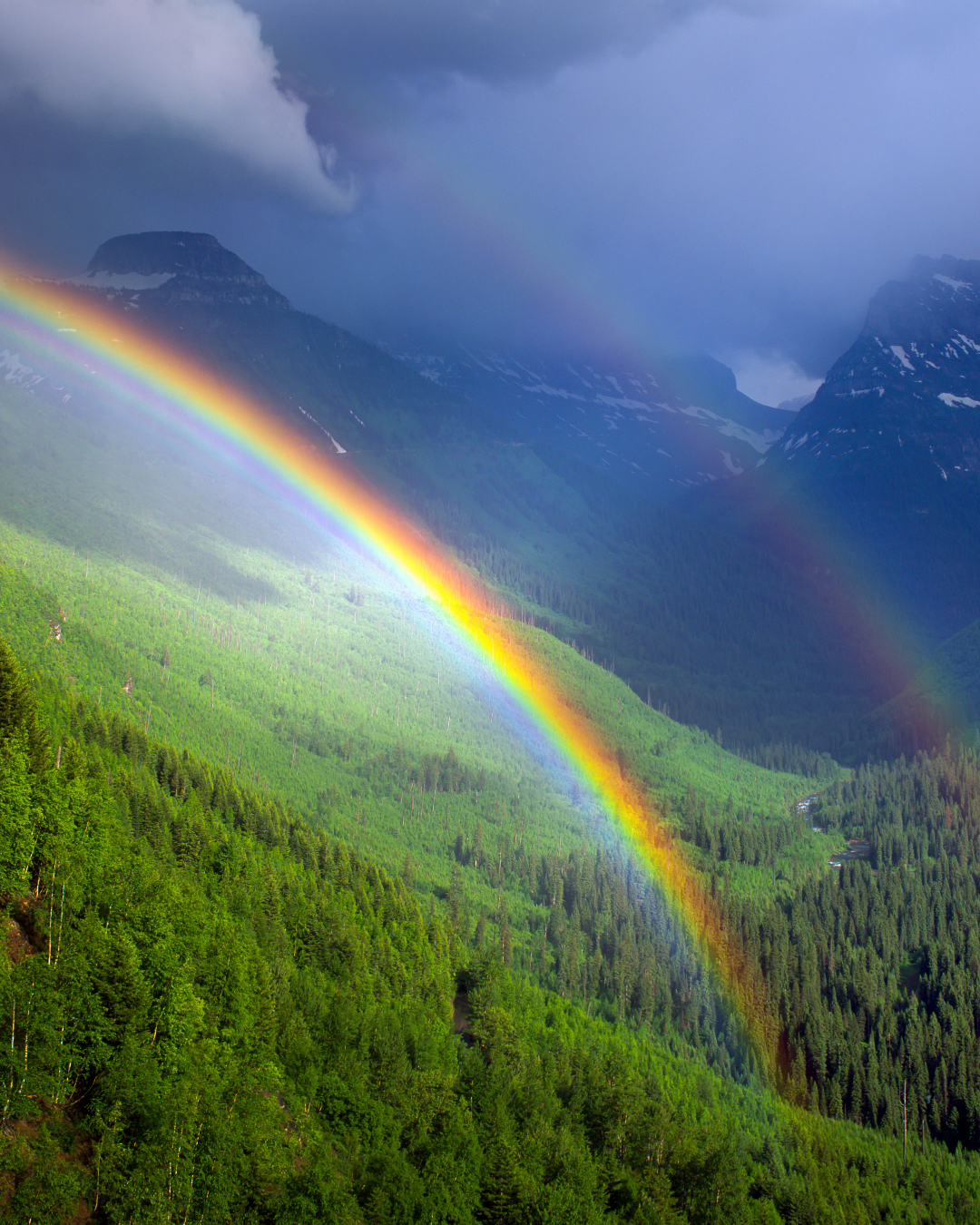 Not What — But Why, When, and How (Much)