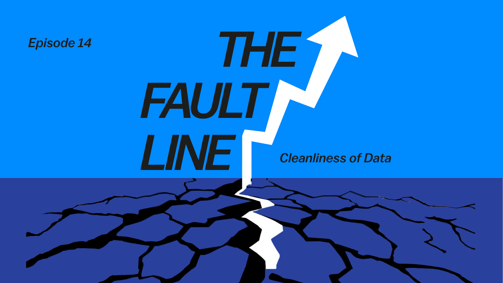 The Fault Line: Episode 14 - Cleanliness of Data