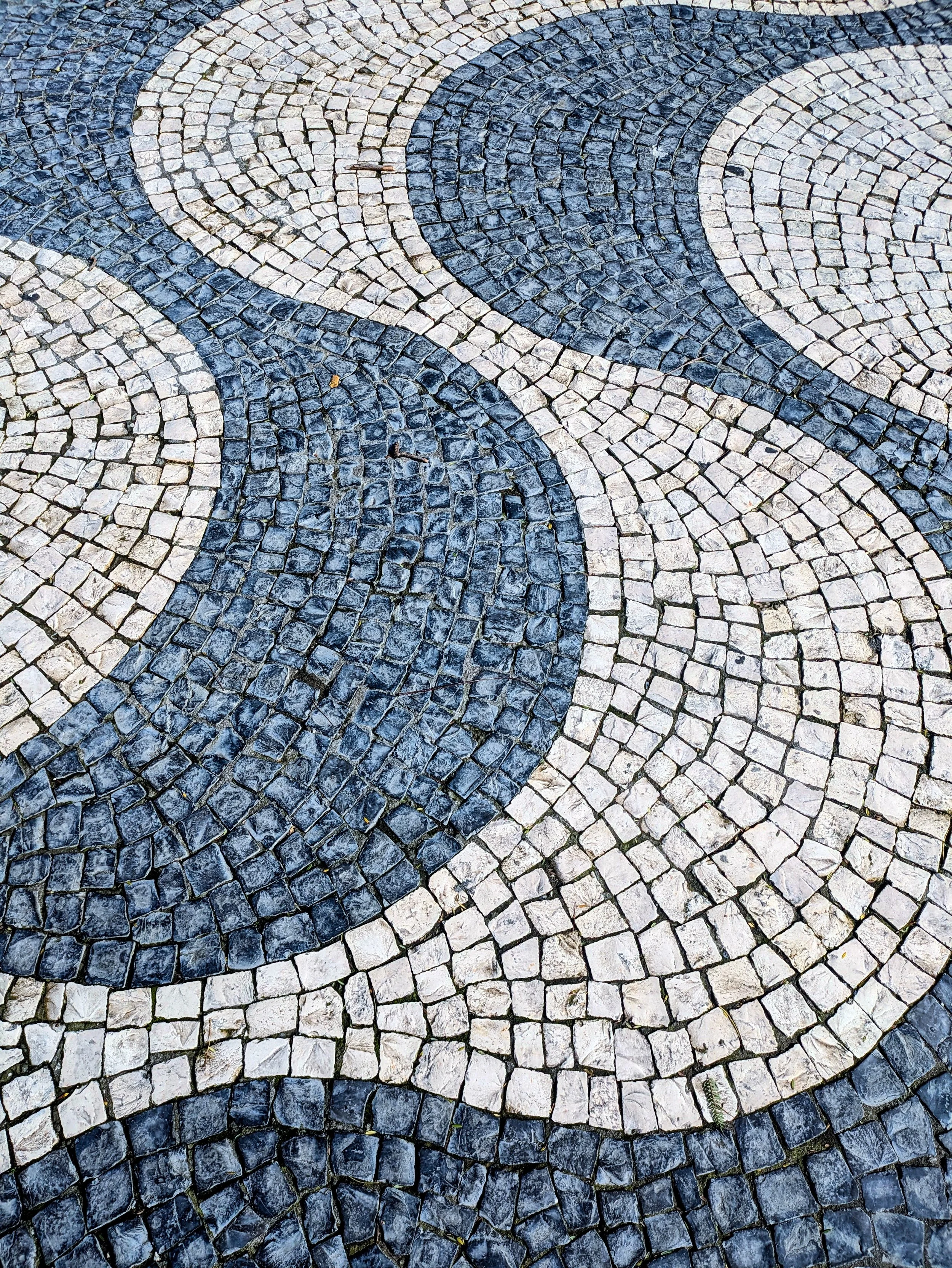 Revenue Diversification Is No Longer Optional for Associations