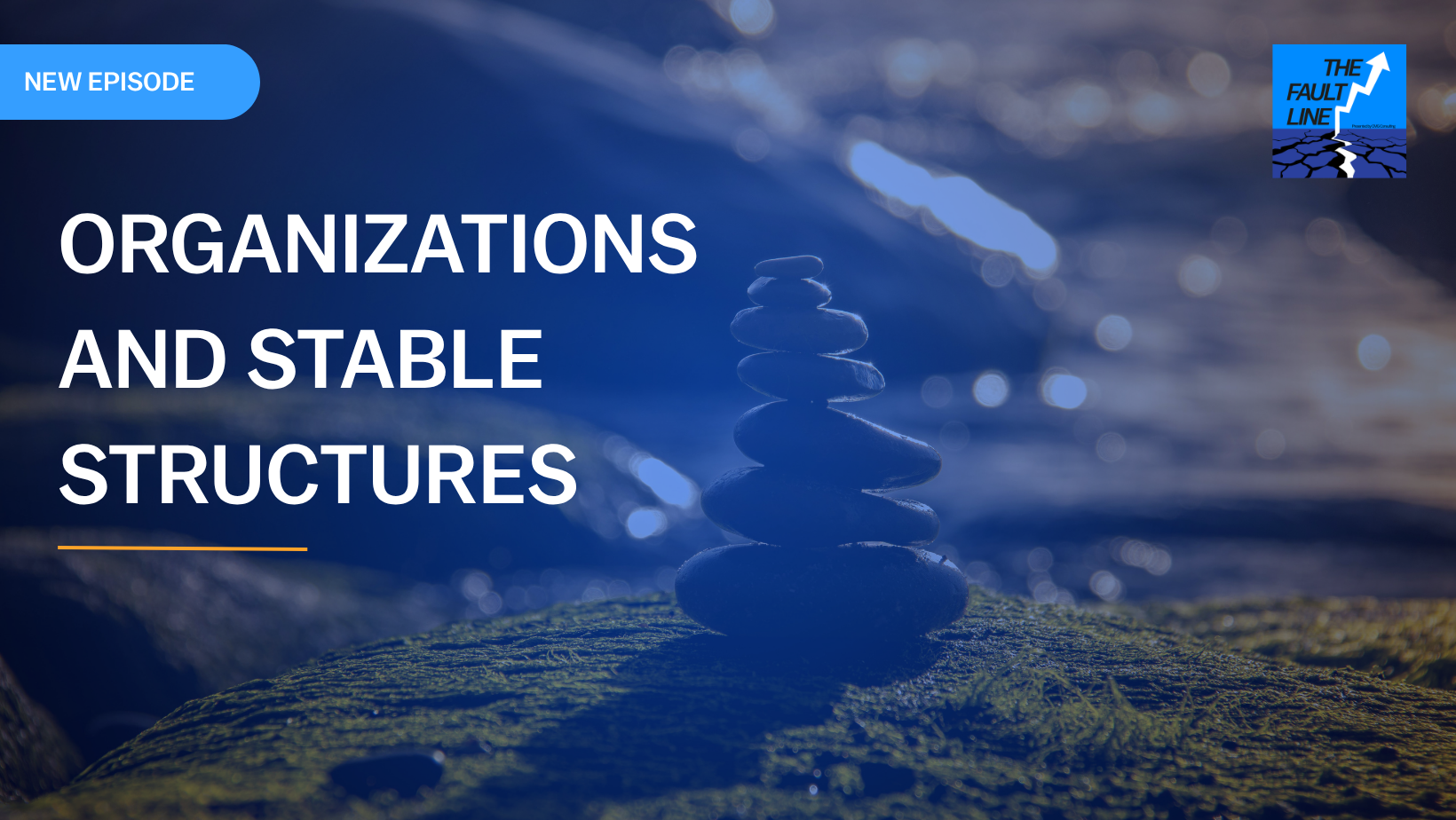 The Fault Line: Episode 25 - Organizations and Stable Structures