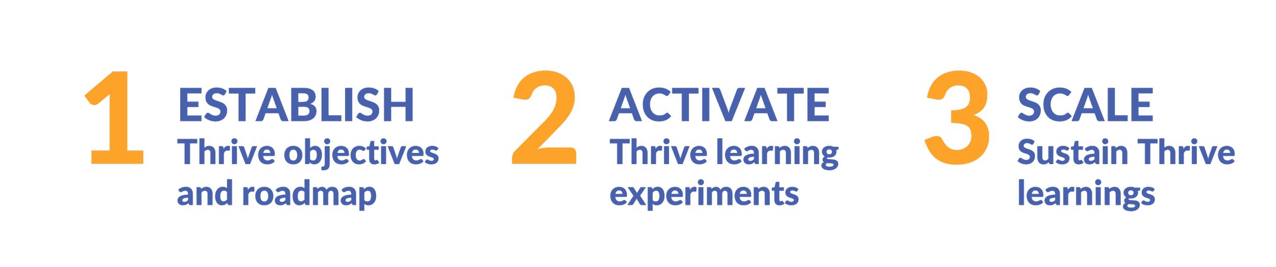 1: Establish Thrive objectives and roadmap. 2: Activate Thrive learning experiments. 3: Scale Sustain Thrive learnings
