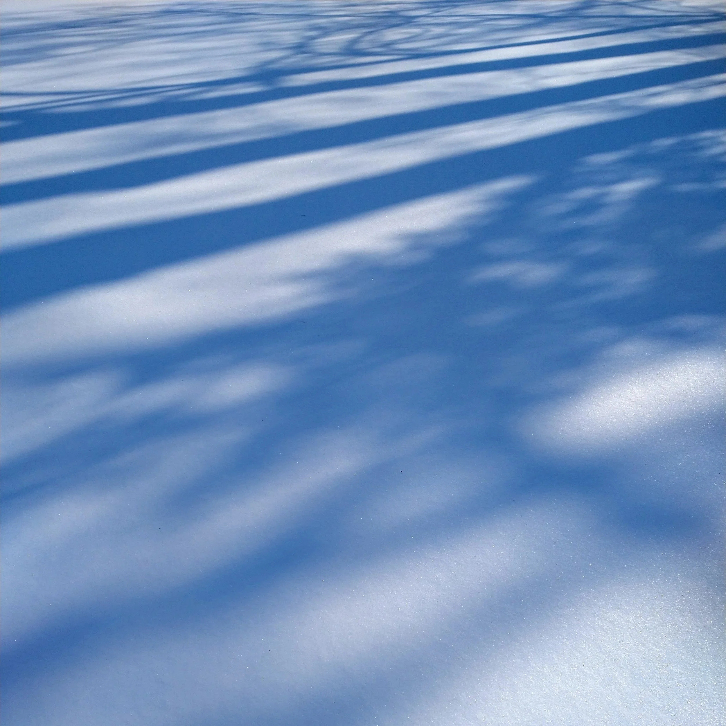 The Sunday Scaries Have Become the Daily Dreads