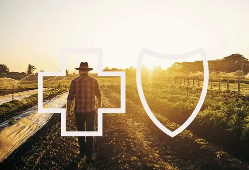 BCBS North Carolina case study image