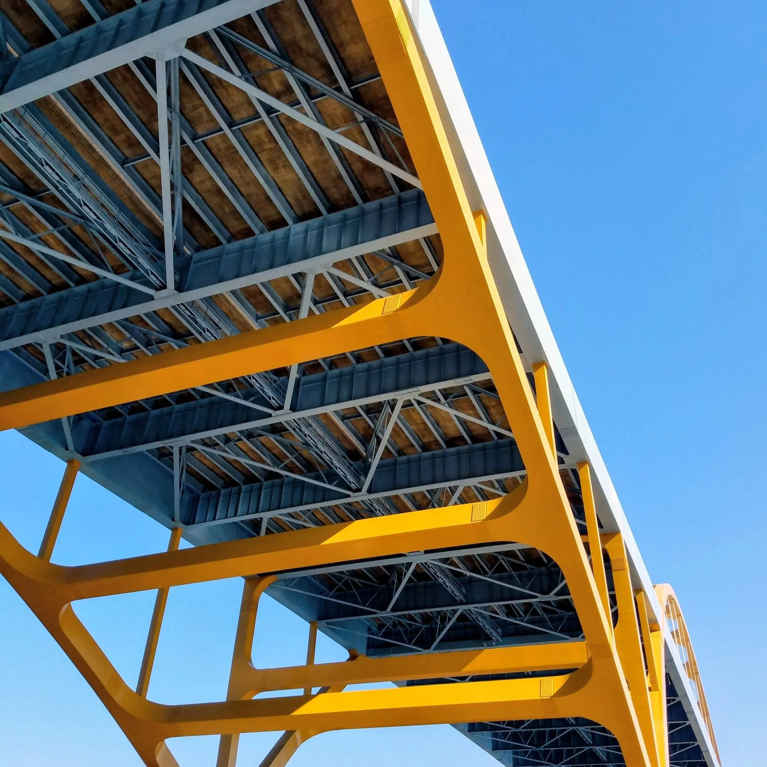 Customer-Centered Growth: Navigating Profit Pressures in Turbulent Markets