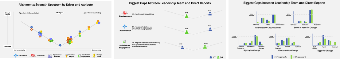 Images of the outputs of CMG's ThriveNumber including alignment V-charts and bar graphs