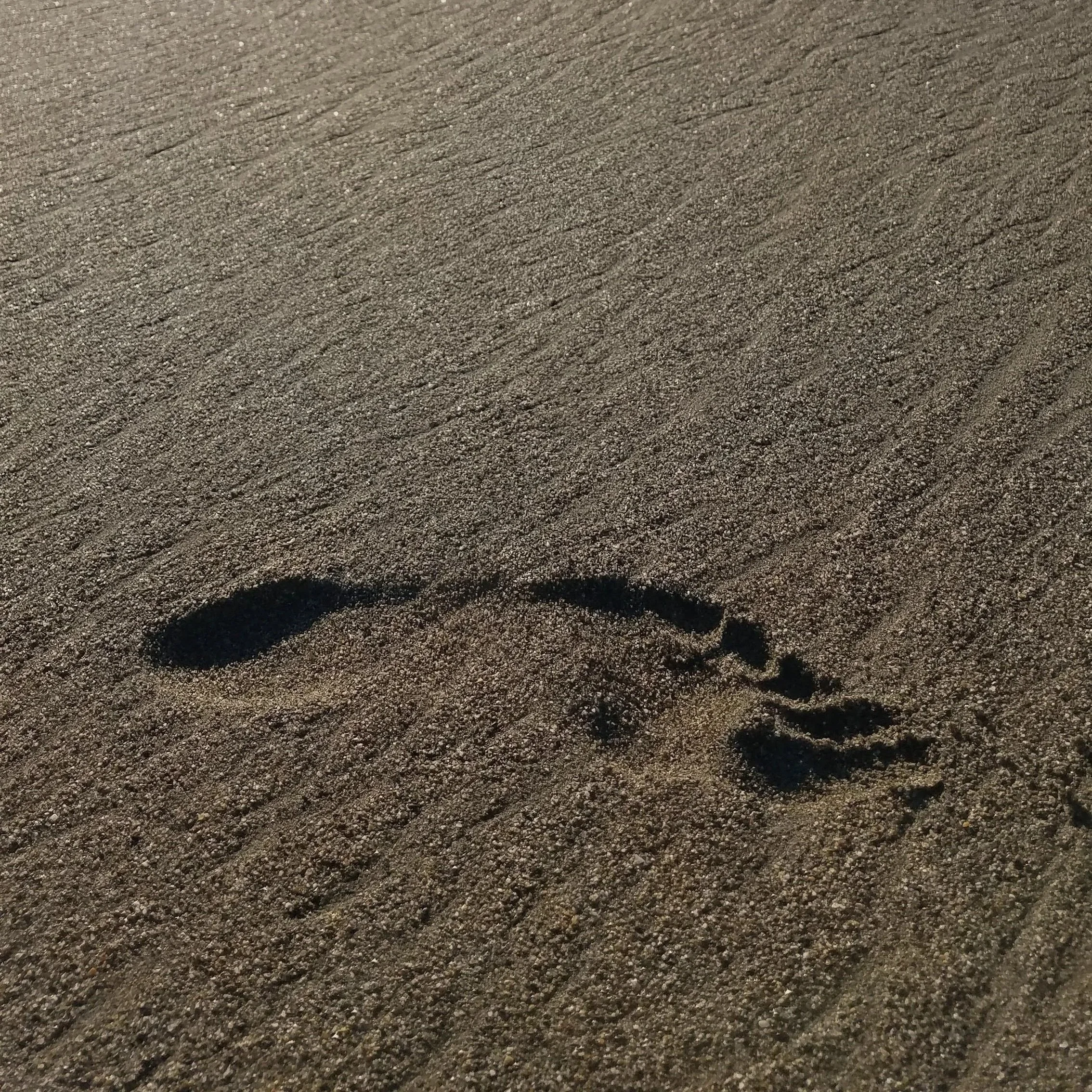 7 Steps for Naming Your Brand