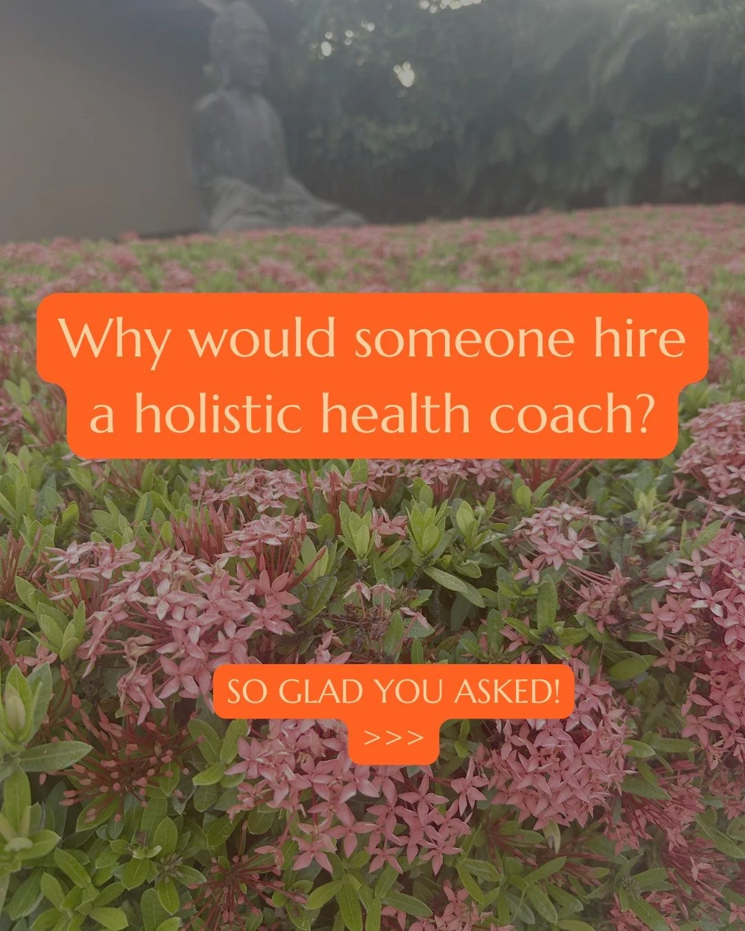 Why would someone hire a holistic health coach?

Because most people have been taught to manage their health in a way that feels responsible&hellip; but isn&rsquo;t actually creating health.

For most people, it starts with health insurance.

You hav