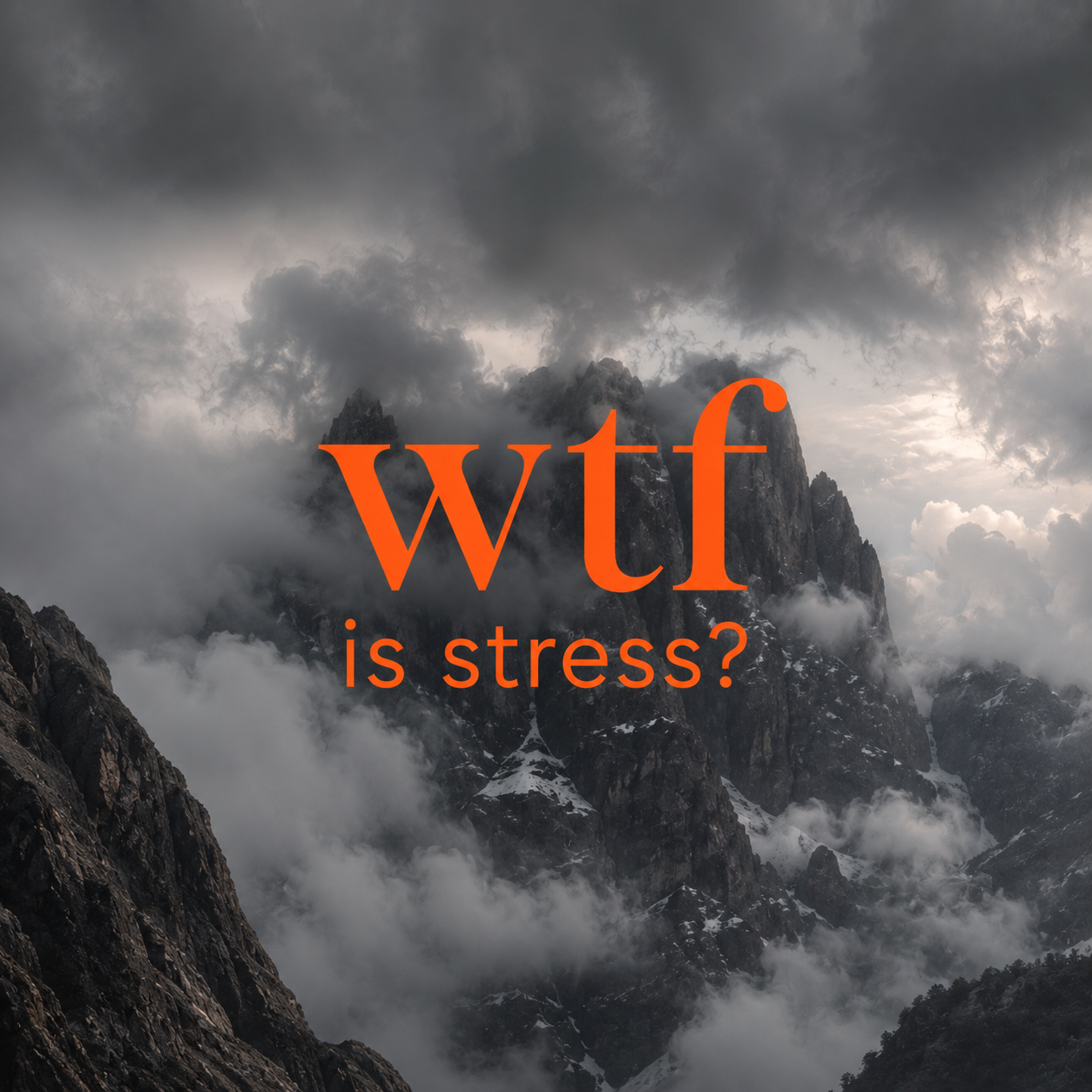 WTF Is Stress?
