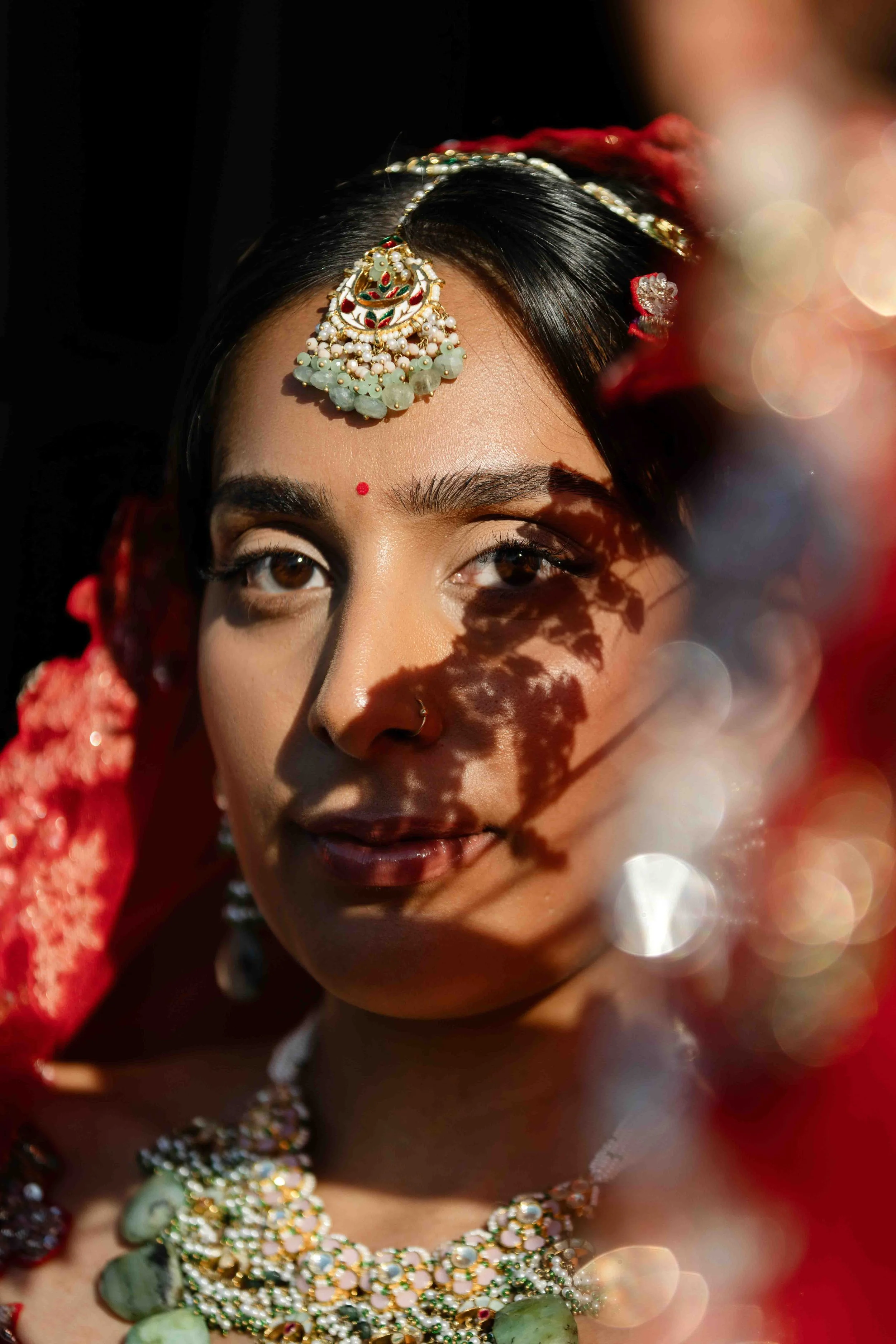 Serendipity Weddings - Indian Wedding Dubrovnik Croatia57.JPG