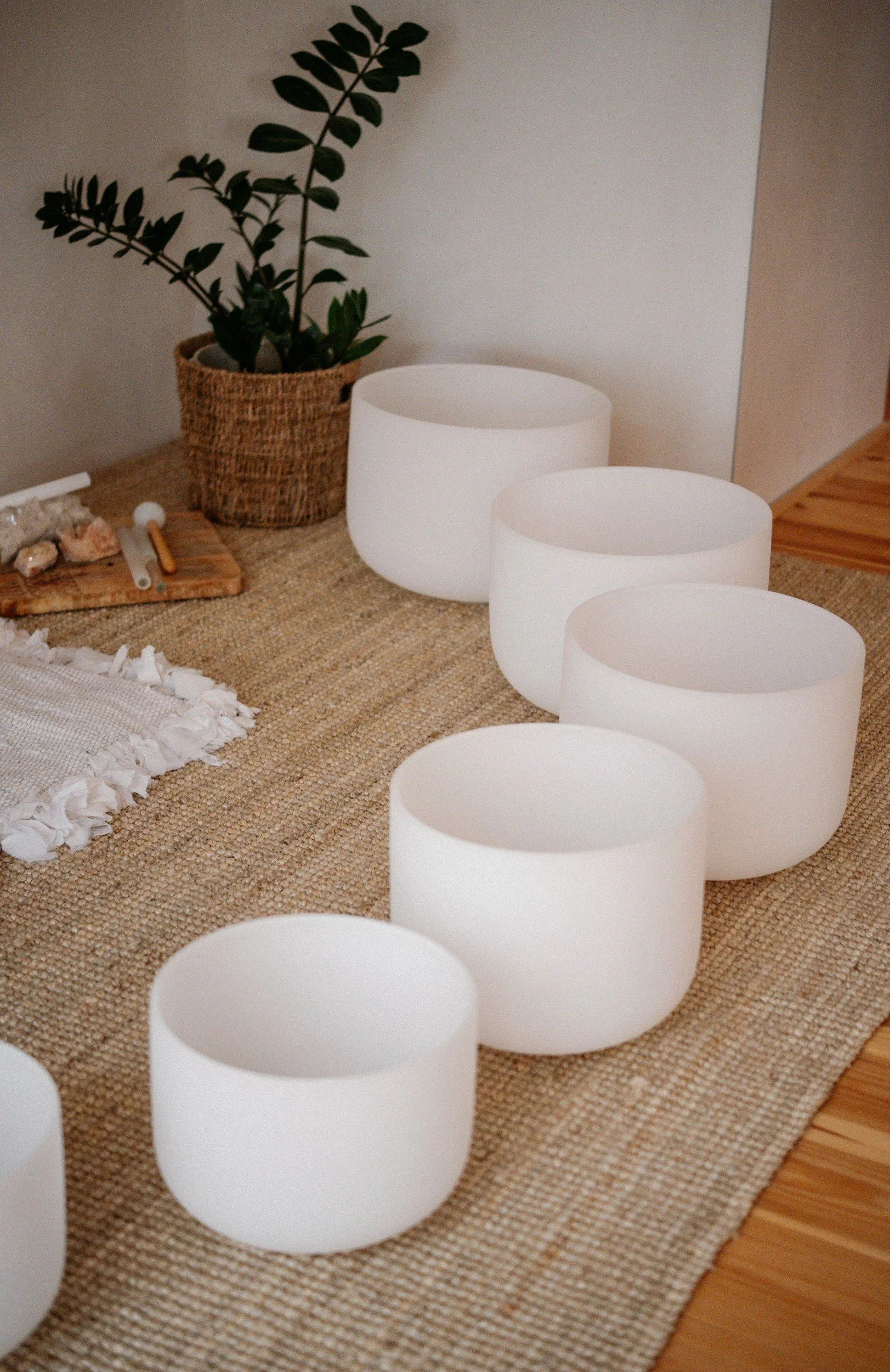 A row of five white singing bowls on a woven rug, with a green potted plant and rocks on a wooden surface nearby.