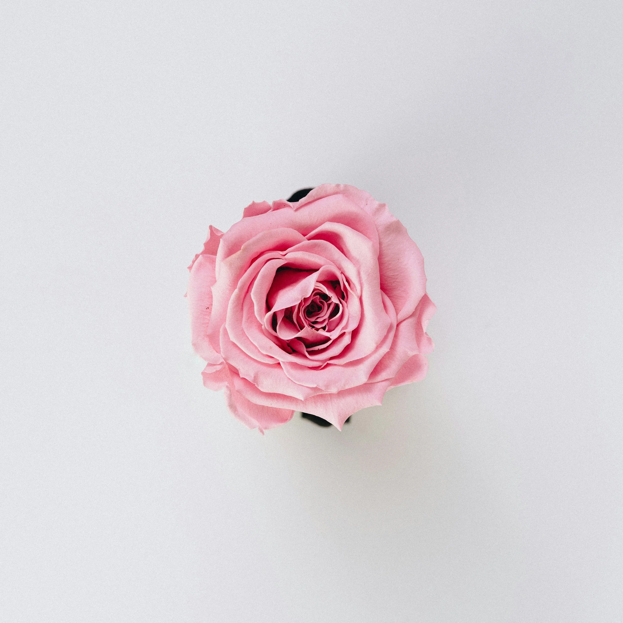 A Practice for Calling In Love