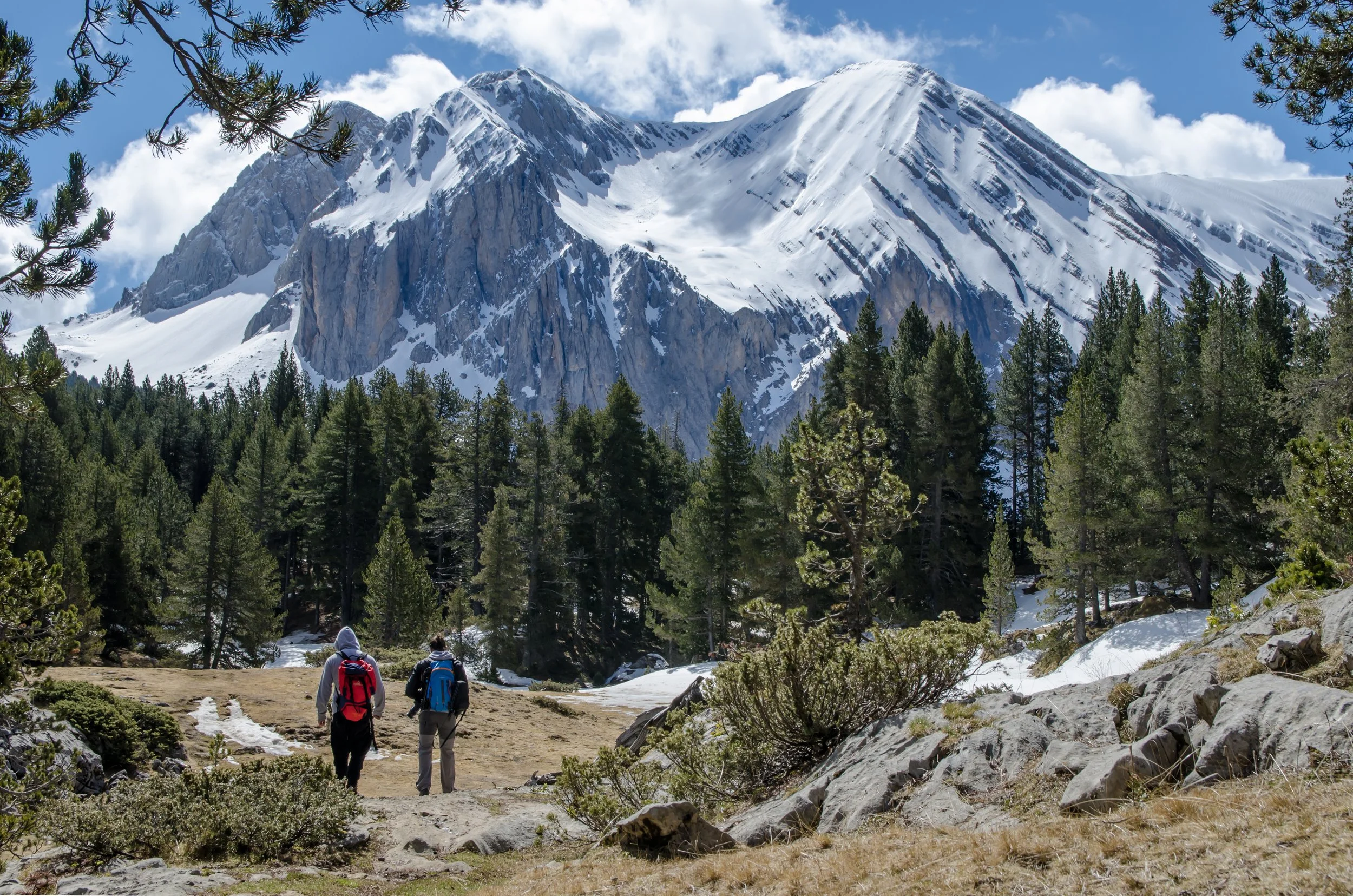 Two hikers with backpacks walking along a mountain trail through a forested area, with snow-capped mountains and a partly cloudy sky in the background.